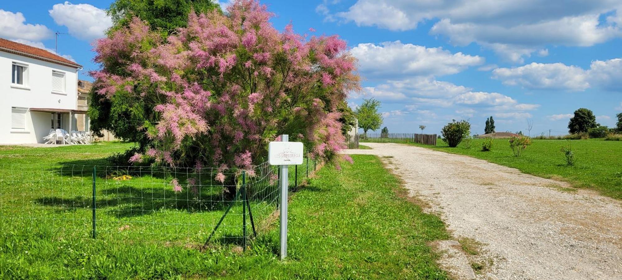 Un Sejour A La Campagne Villa Courpignac Exterior photo